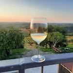 In Marche With Pool & Wine Tours * Montecarotto