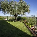 In Marche With Pool & Wine Tours * Montecarotto
